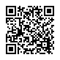 570270-汽車遮陽板收納袋_QRCODE