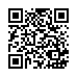 FY-014A 10吋飛盤_QRCODE