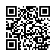 SA55(BB92)-彩色籃球_QRCODE