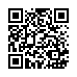 777-616B 網裝鯊魚網格雙拍+2球_QRCODE
