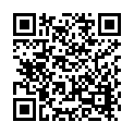 AL80098-彩色塑料羽毛球3入_QRCODE