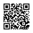 錢袋帶銅錢吊飾_QRCODE