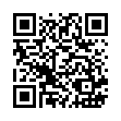 DT-41 超大總理萬用籃_QRCODE