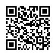 FB213-806 藤編花收納籃(大)28*20*17_QRCODE