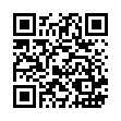 DT-31 特大總理萬用籃_QRCODE