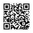 K6212-樂司台式304不鏽鋼大湯勺_QRCODE