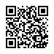 漾彩304鉑金碗14cm_QRCODE