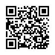 FL3391-燒/攜帶型打火機點火槍_QRCODE