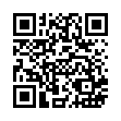 AL84191-沙金招財敬神杯_QRCODE