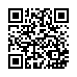 LA-A10-32 碳鋼極岩炒鍋32cm(89217)_QRCODE
