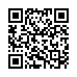 吉祥如意+銅錢吊飾(112030025FB)_QRCODE