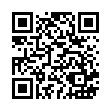花色元寶包(T18041421)_QRCODE