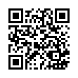 中號8入禮品袋19*28CM(N11091807)_QRCODE